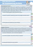 Vorschau - Arbeitsblätter - Die Zusammensetzung des Blutes (Bestandteile des Blutes: Blutplasma, Rote Blutkörperchen, Weiße Blutkörperchen, Blutplättchen: Aufgaben und Funktionen im Körper) - Seite 3