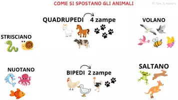 anteprima - Materiale di supporto/inclusione - Gli essere viventi - Pagina 3