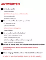 Vorschau - Arbeitsblätter - Der Habicht: Leseverständnis und Kreuzworträtsel mit Lösungen - Seite 3