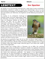 Vorschau - Spiele - Der Sperber: Leseverständnis und Kreuzworträtsel mit Lösungen - Seite 1