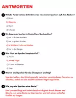 Vorschau - Spiele - Der Sperber: Leseverständnis und Kreuzworträtsel mit Lösungen - Seite 3