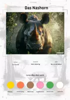Vorschau - Stationenlernen - Das Nashorn – Steckbrief inklusive – Tiere Afrikas – Montessori Lernkarten (Kontinente entdecken) - Deckblatt