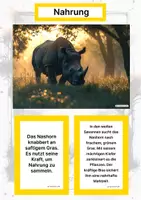 Vorschau - Stationenlernen - Das Nashorn – Steckbrief inklusive – Tiere Afrikas – Montessori Lernkarten (Kontinente entdecken) - Seite 1