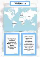 Vorschau - Stationenlernen - Das Nashorn – Steckbrief inklusive – Tiere Afrikas – Montessori Lernkarten (Kontinente entdecken) - Seite 2