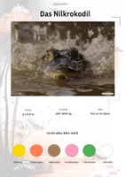 Vorschau - Arbeitsblätter - Das Nilkrokodil – Steckbrief inklusive – Tiere Afrikas – Montessori Lernkarten (Kontinente entdecken) - Deckblatt