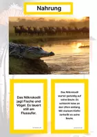 Vorschau - Arbeitsblätter - Das Nilkrokodil – Steckbrief inklusive – Tiere Afrikas – Montessori Lernkarten (Kontinente entdecken) - Seite 1