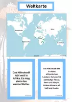Vorschau - Arbeitsblätter - Das Nilkrokodil – Steckbrief inklusive – Tiere Afrikas – Montessori Lernkarten (Kontinente entdecken) - Seite 2