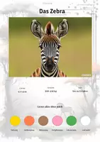 Vorschau - Arbeitsblätter - Das Zebra – Steckbrief inklusive – Tiere Afrikas – Montessori Lernkarten (Kontinente entdecken) - Deckblatt