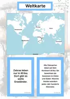 Vorschau - Arbeitsblätter - Das Zebra – Steckbrief inklusive – Tiere Afrikas – Montessori Lernkarten (Kontinente entdecken) - Seite 2