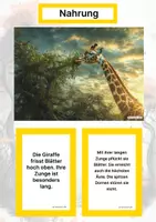 Vorschau - Arbeitsblätter - Pflanzenfresser (Montessori Lernkarten) – Spielerisch entdecken & verstehen - Seite 1