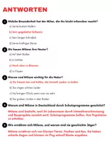 Vorschau - Arbeitsblätter - Der Milan: Leseverständnis und Kreuzworträtsel mit Lösungen - Seite 3