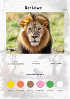 Vorschau - Arbeitsblätter - Der Löwe – Steckbrief inklusive – Tiere Afrikas – Montessori Lernkarten (Kontinente entdecken) - Deckblatt