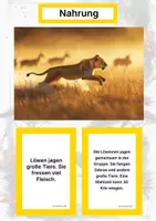 Vorschau - Arbeitsblätter - Der Löwe – Steckbrief inklusive – Tiere Afrikas – Montessori Lernkarten (Kontinente entdecken) - Seite 1