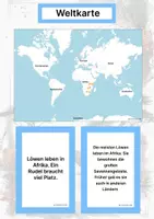 Vorschau - Arbeitsblätter - Der Löwe – Steckbrief inklusive – Tiere Afrikas – Montessori Lernkarten (Kontinente entdecken) - Seite 2