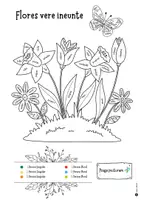 Vorschau - Arbeitsblätter - Latein Ausmalbild Frühlingsblumen 1. Lernjahr_Frühling - Seite 2
