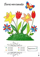 Vorschau - Arbeitsblätter - Latein Ausmalbild Frühlingsblumen 1. Lernjahr_Frühling - Seite 3