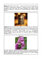 Vorschau - Arbeitsblätter - Mystery zu Synapsengiften - Seite 3