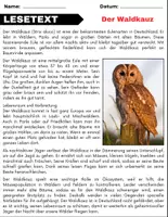 Vorschau - Arbeitsblätter - Der Waldkauz: Leseverständnis und Kreuzworträtsel mit Lösungen - Seite 1