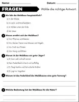 Vorschau - Arbeitsblätter - Der Waldkauz: Leseverständnis und Kreuzworträtsel mit Lösungen - Seite 2