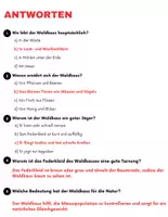 Vorschau - Arbeitsblätter - Der Waldkauz: Leseverständnis und Kreuzworträtsel mit Lösungen - Seite 3