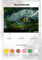 Vorschau - Arbeitsblätter - Tiere aus Südamerika (Montessori Lernkarten) – Spielerisch entdecken & verstehen - Deckblatt