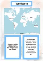 Vorschau - Arbeitsblätter - Bergtiere (Montessori Lernkarten) – Spielerisch entdecken & verstehen - Seite 2