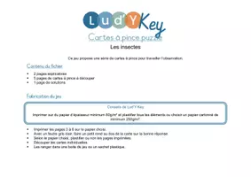 Aperçu - Apprentissages en autonomie - Les cartes à pince puzzle sur les insectes - Page 1