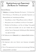 Vorschau - Fördermaterial/Inklusion - Tintenblume Experiment - TAFELKARTEN Blume färben - Seite 1