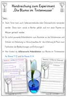 Vorschau - Fördermaterial/Inklusion - Tintenblume Experiment - TAFELKARTEN Blume färben - Seite 2