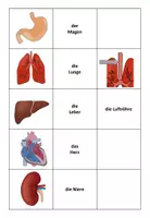 Vorschau - Arbeitsblätter - Materialpaket: Alle "Wo liegt ...? AB + "Finde das Paar" // Biologie Vorwissen aktivieren - Seite 1