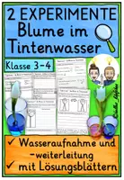 Vorschau - Arbeitsblätter - Blumen färben Klasse 3-4 - Experiment im Frühling - Deckblatt