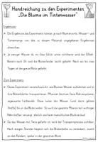 Vorschau - Arbeitsblätter - Blumen färben Klasse 3-4 - Experiment im Frühling - Seite 3