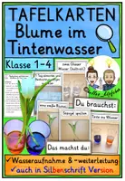 Vorschau - Fördermaterial/Inklusion - Blumen färben in zwei Farben - Experiment TAFELKARTEN - Deckblatt