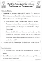 Vorschau - Fördermaterial/Inklusion - Blumen färben in zwei Farben - Experiment TAFELKARTEN - Seite 1