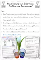 Vorschau - Fördermaterial/Inklusion - Blumen färben in zwei Farben - Experiment TAFELKARTEN - Seite 2
