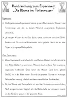 Vorschau - Fördermaterial/Inklusion - Blumen färben in zwei Farben - Experiment TAFELKARTEN - Seite 3