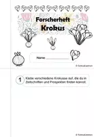 Vorschau - Arbeitsblätter - Forscherheft Krokus Frühblüher Klasse 1 2 3 4 - Seite 2