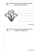 Vorschau - Arbeitsblätter - Forscherheft Krokus Frühblüher Klasse 1 2 3 4 - Seite 3