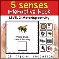 Voorbeeld - Montessori Five senses matching activity | Sense of Hearing adapted book SPED - Pagina 2