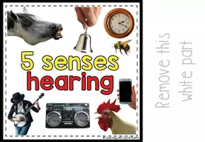 Voorbeeld - Montessori Five senses matching activity | Sense of Hearing adapted book SPED - Pagina 3