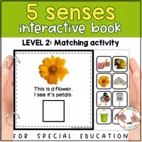 Voorbeeld - Montessori Five senses matching activity | Sense of Sight adapted book SPED - Pagina 2