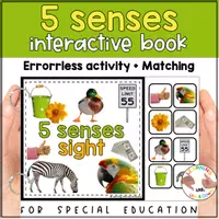 Voorbeeld - Montessori Five senses matching activity | Sense of Sight adapted book SPED - Voorblad