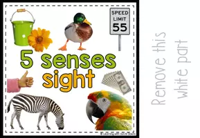 Voorbeeld - Montessori Five senses matching activity | Sense of Sight adapted book SPED - Pagina 3