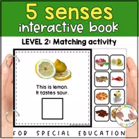 Voorbeeld - Montessori Five senses matching activity | Sense of taste adapted book SPED - Pagina 2