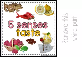 Voorbeeld - Montessori Five senses matching activity | Sense of taste adapted book SPED - Pagina 3