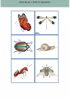 Aperçu - Apprentissages en autonomie - Le jeu dicte et reproduis sur les insectes - Page 3