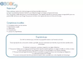Aperçu - Apprentissages en autonomie - Le jeu de lecture sur les insectes - Page 2