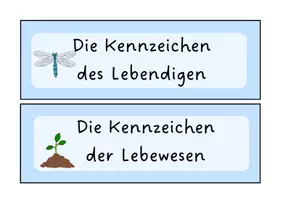 Vorschau - Bildkarten - Die Kennzeichen des Lebens/ des Lebendigen (Tafelkarten, Spiel) - Seite 1