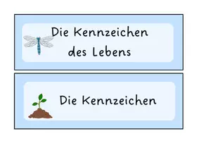 Vorschau - Bildkarten - Die Kennzeichen des Lebens/ des Lebendigen (Tafelkarten, Spiel) - Seite 2