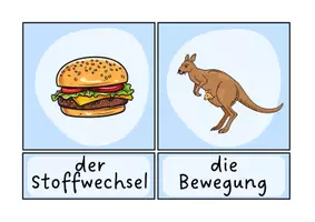 Vorschau - Bildkarten - Die Kennzeichen des Lebens/ des Lebendigen (Tafelkarten, Spiel) - Seite 3